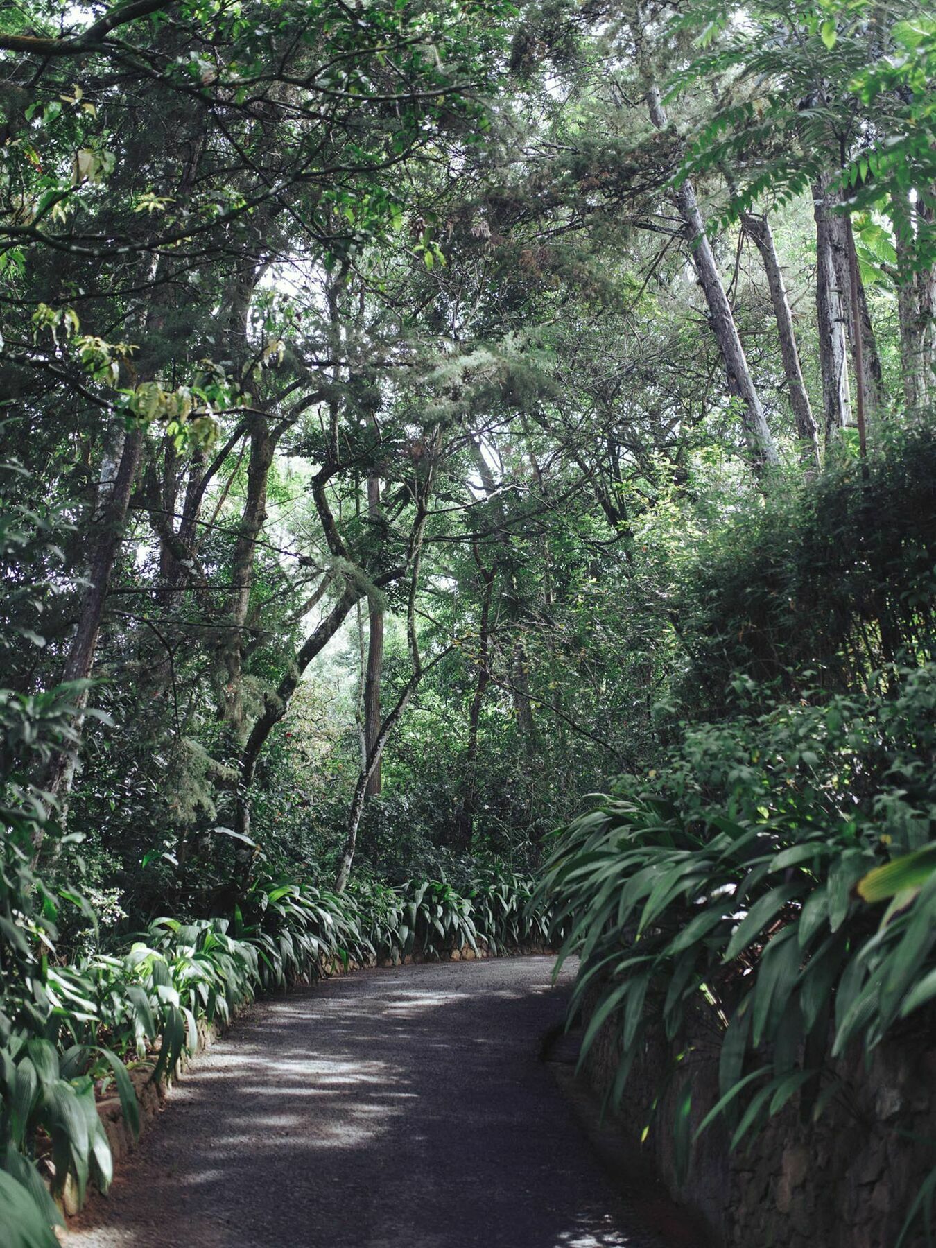 Villa Republic 班德勒韦勒 外观 照片