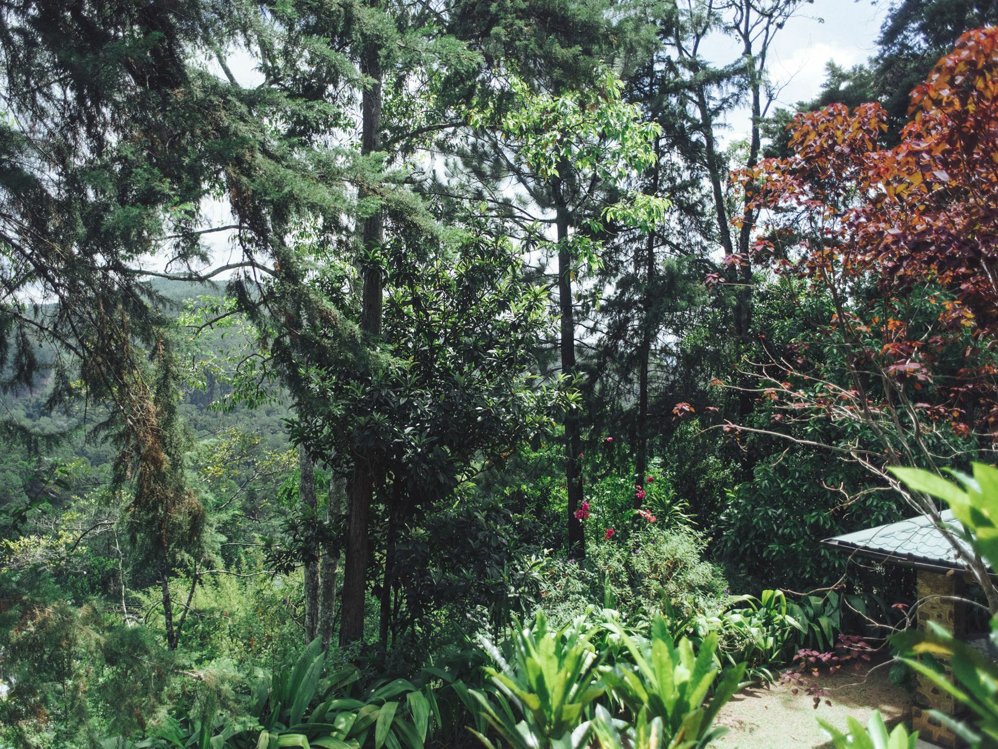 Villa Republic 班德勒韦勒 外观 照片